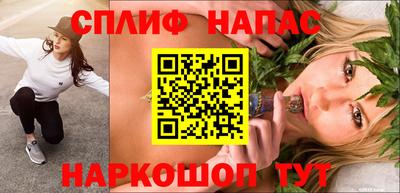 стаф Заводоуковск