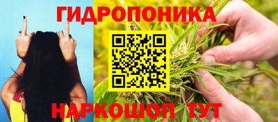 гидра Жуковский