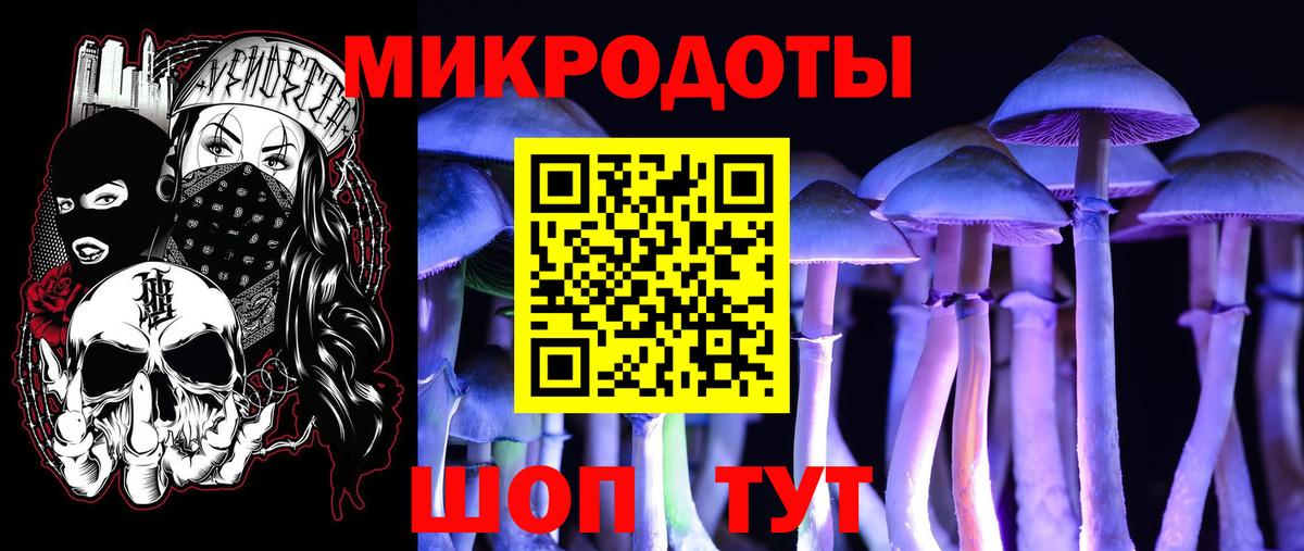 Галлюциногенные грибы Cubensis Мценск