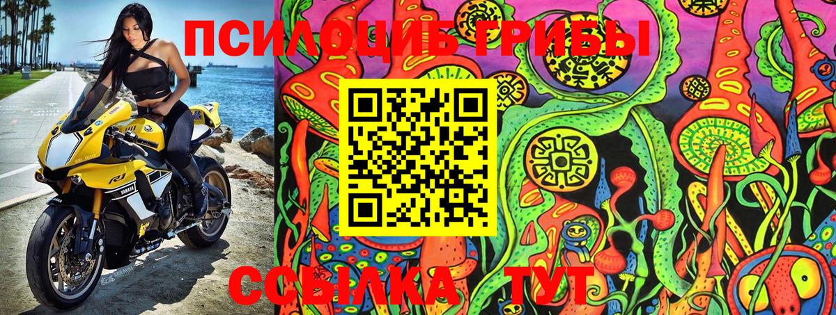 Мценск  Псилоцибиновые грибы Psilocybe  Вход с VPN 